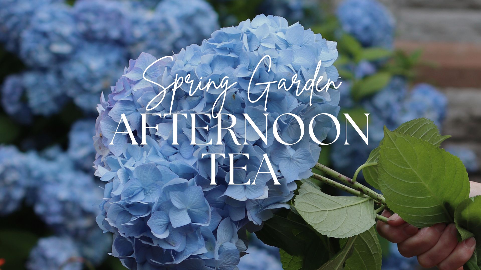 Spring Garden Afternoon Tea: 12.30pm Featured Image