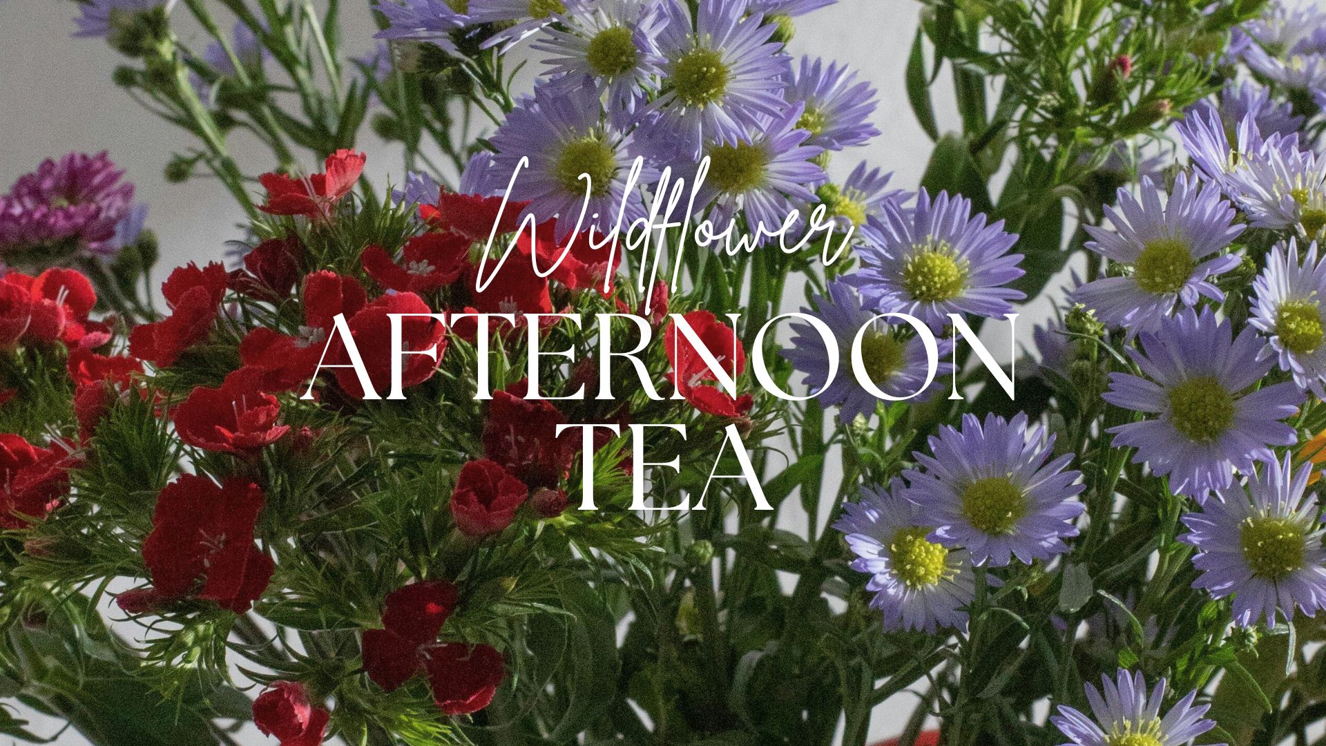Wildflower Afternoon Tea: 12.30pm Featured Image